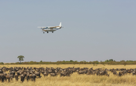 Flugsafaris Teaserbild