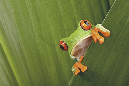 Costa Rica Teaserbild