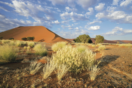 Namibia