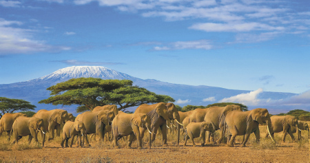 Kenia Teaserbild