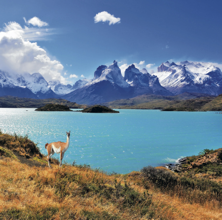 Chile Teaserbild